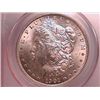 Image 1 : 1904-O Morgan Dollar Ch MS64 PCGS