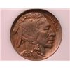 Image 1 : 1918-D Buffalo Nickel Ch MS64 NGC