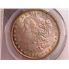 Image 1 : 1886 Morgan Dollar Ch MS64 PCGS