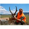 Image 1 : 2015 Colorado Statewide Pronghorn