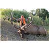 Image 1 : 2015 Pahvant Landowner Elk, Hunters Choice