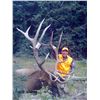 Image 1 : 2015 San Juan Landowner Elk Hunters Choice - SFW