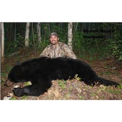 2015 Spring Black Bear Hunt, Alberta Canada (one hunter)