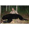 Image 1 : 2015 Spring Black Bear Hunt, Alberta Canada (one hunter)