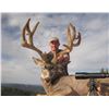 Image 1 : 2015 Paunsaugunt Landowner Deer Hunters Choice