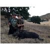 Image 1 : 3-Day, 2-Night Hog Hunt