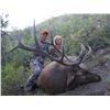 Image 1 : 2015 Utah Pahvant Premium Bull Elk Conservation Permit