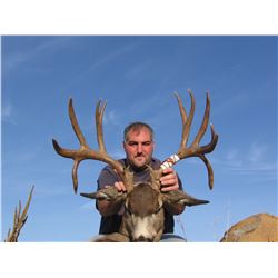 2015 Washington East Side Deer