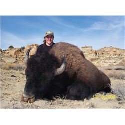 2015 Utah Bison Hunters Choice Conservation Permit (late season)