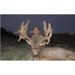2015 Utah Paunsaugunt Landowner Deer Hunters Choice