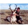 Image 1 : Alberta Guided Pronghorn Hunt with Silver Sage Outfitters