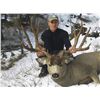 Image 1 : 2015 Montana “Super Tag” Statewide Deer