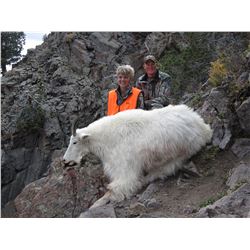 2015 Utah North/South Slope Central High Uintas Rocky Mountain Goat Conservation Permit