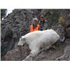 Image 1 : 2015 Utah North/South Slope Central High Uintas Rocky Mountain Goat Conservation Permit