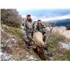 Image 1 : 5-Day Fully Guided Elk Hunt w/X-treme Outfitting