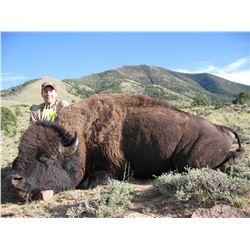 2015 Utah Henry Mountain Bison Conservation Permit Hunters Choice (early)