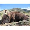 Image 1 : 2015 Utah Henry Mountain Bison Conservation Permit Hunters Choice (early)