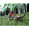 Image 1 : 2015 Fishlake Premium Elk Conservation Permit
