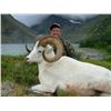 Image 1 : 10-Day Fully Guided Fannin Sheep Hunt with Moon Lake Outfitters