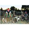 Image 1 : 2015 San Juan Muzzleloader Mule Deer Conservation Permit