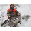 Image 1 : 2015 Montana Mule Deer Hunt