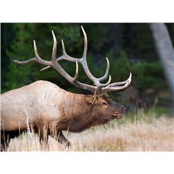 2015 South Slope Diamond Mountain Premium Bull Elk Conservation Permit