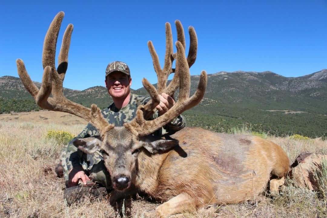 2015 Nevada Heritage Statewide Mule Deer