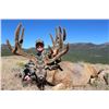 Image 1 : 2015 Nevada Heritage Statewide Mule Deer