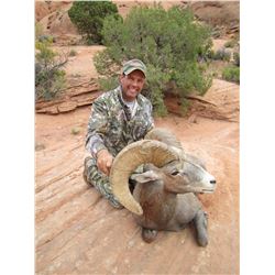2015 Utah San Juan LaSal Desert Bighorn Conservation Permit