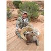 Image 1 : 2015 Utah San Juan LaSal Desert Bighorn Conservation Permit