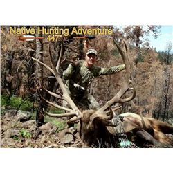 San Carlos Apache Tribe Bull Elk Chairman’s Permit