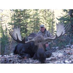 2015 Utah Statewide Moose Conservation Permit