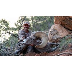 2015 Zion Pine Valley Desert Bighorn Conservation Permit
