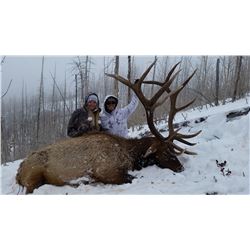 2015 Utah Statewide Elk Conservation Permit