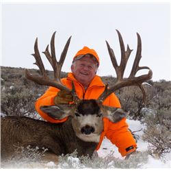 2015 Colorado Statewide Mule Deer Tag