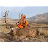 Image 1 : 2015 Utah Henry Mountain Deer Conservation Permit – Season Choice