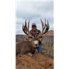 Image 1 : 2015 Utah Statewide Mule Deer Conservation Permit