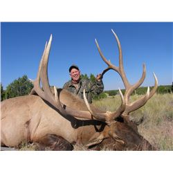 Zuni Reservation Bull Elk Hunt (1-hunter, 7-days/8-nights)