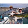 Image 1 : 6 DAY IXTAPA MEXICO SPORT FISHING TRIP FOR 2 ANGLERS