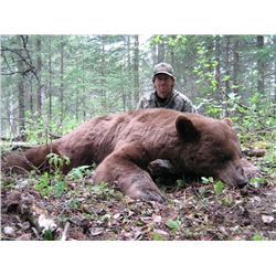 ALBERTA SPRING BEAR HUNT
