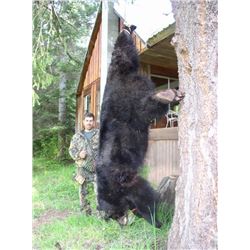 6 DAY IDAHO BLACK BEAR HUNT