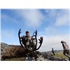 Image 1 : 7 DAY 2 PERSON ALASKA ARCTIC CARIBOU HUNT