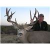 Image 2 : 5 DAY MEXICO DESERT MULE DEER HUNT