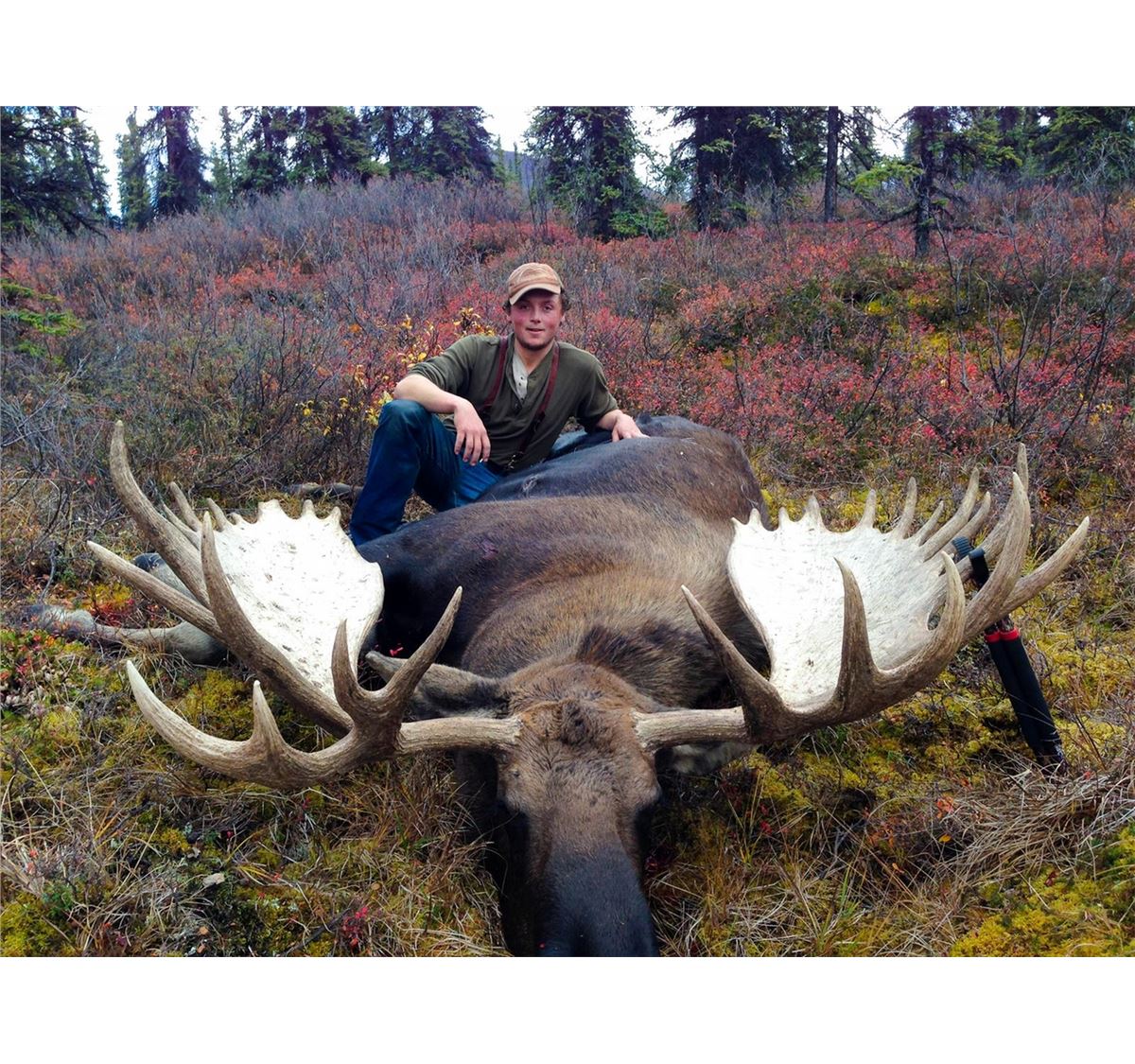 10 DAY ALASKA MOOSE HUNT FOR 2016