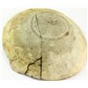 Image 3 : Collection of 2 includes early site repaired