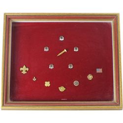 Collection of 13 pins includes 5 Union Pacific