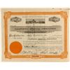 Image 1 : California Brewing Association Stock Certificate