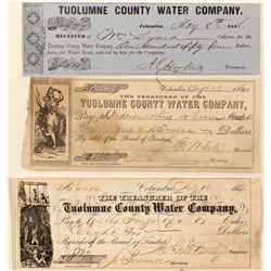 Tuolumne County Check Collection