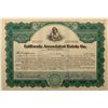 Image 1 : California Associated Raisin Co. Stock Certificate