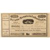 Image 1 : Nevada and Mountain Lakes Ice. Co. Stock Certificate